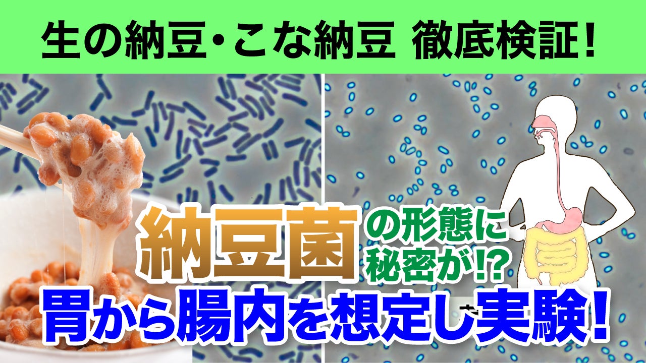 【独占映像】7月10日は納豆の日！生の納豆 vs こな納豆 — 生きて腸まで届く最強の納豆菌はどっち！？ 科学が証明する“そのもの納豆菌”の実力