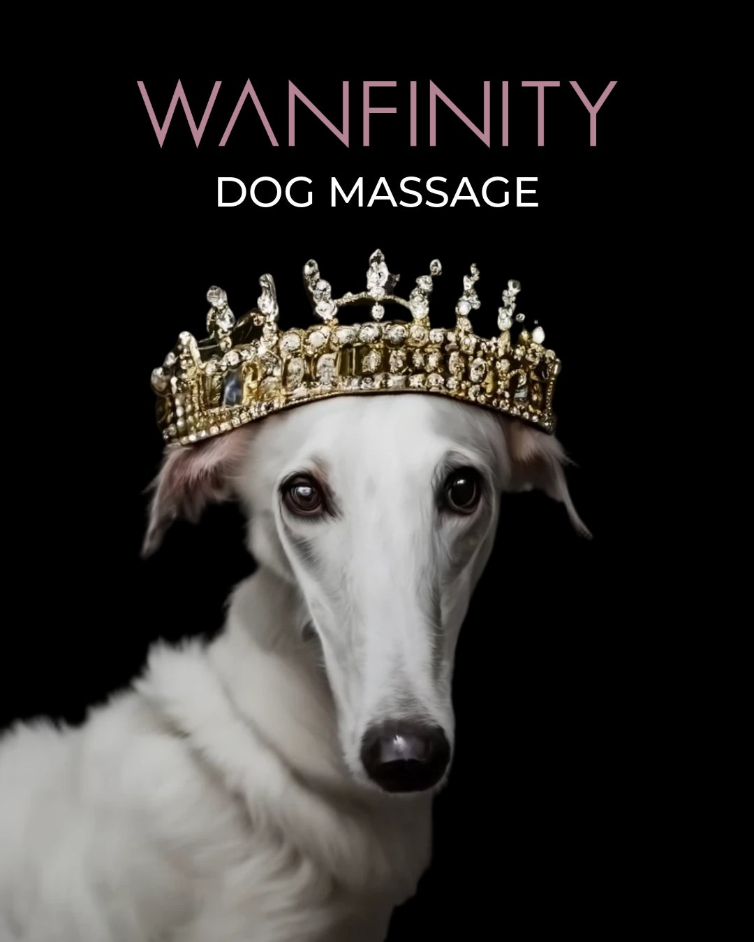 上質なドッグマッサージを提供するWanfinity、飼い主様向けドッグマッサージレッスンを開催