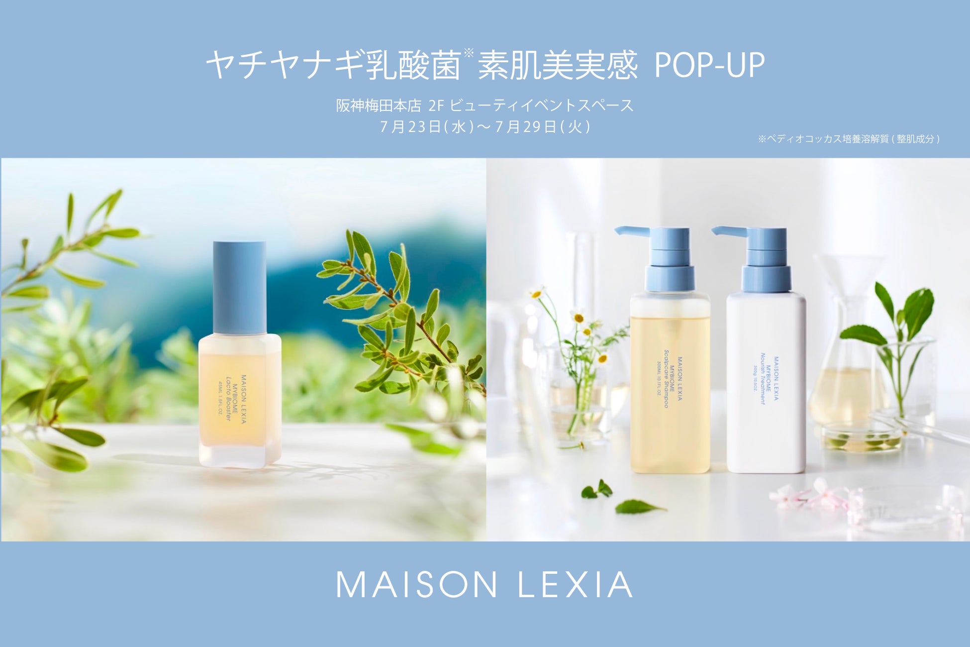 メゾンレクシア「ヤチヤナギ乳酸菌*¹素肌美実感 POP-UP」開催［2025年7月23日(水)〜7月29日(火)］