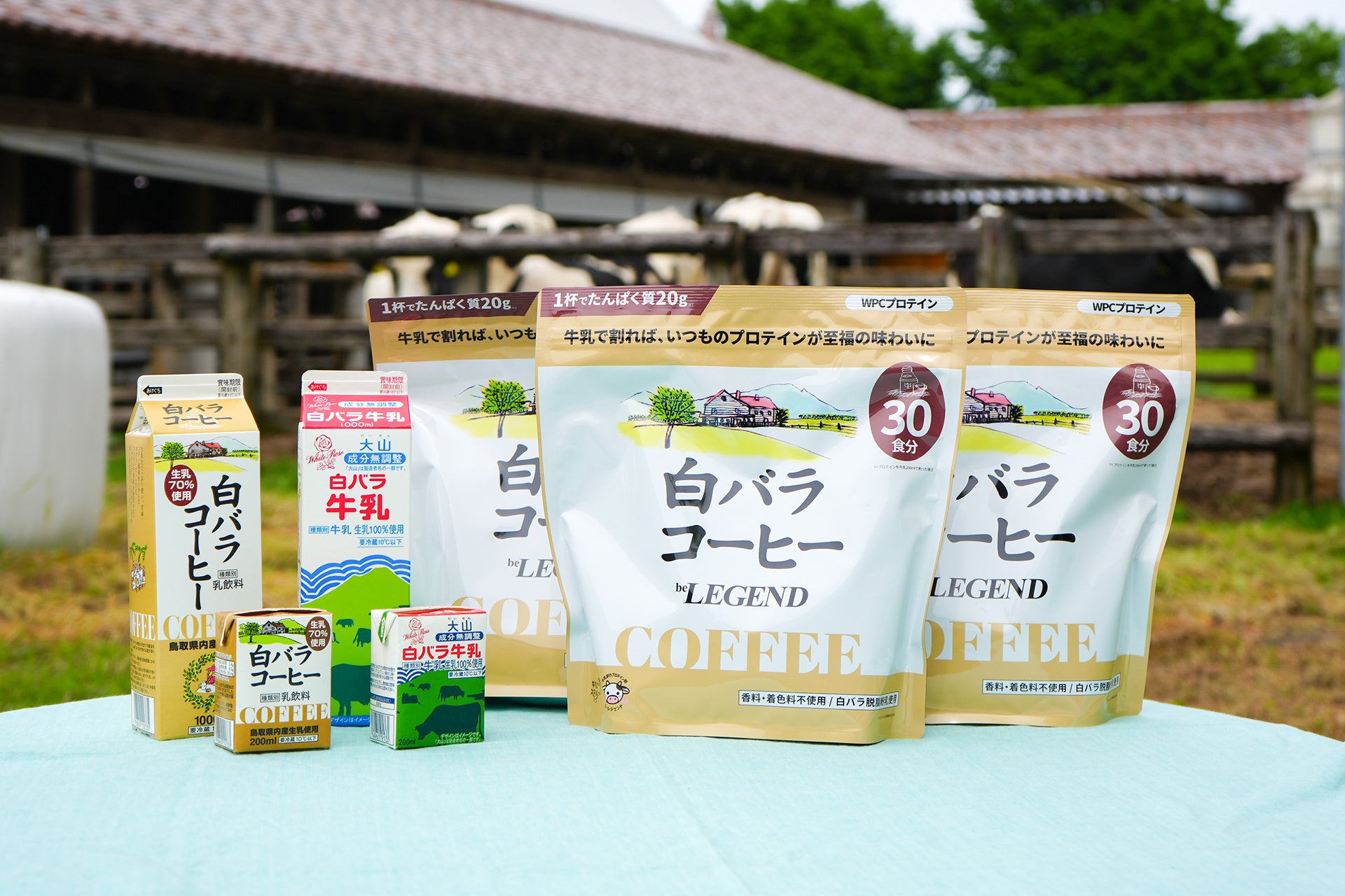 日本の酪農の力を引き出す「牛乳割り専用プロテイン」―大山乳業×ビーレジェンド、地域資源循環型プロジェクト始動―