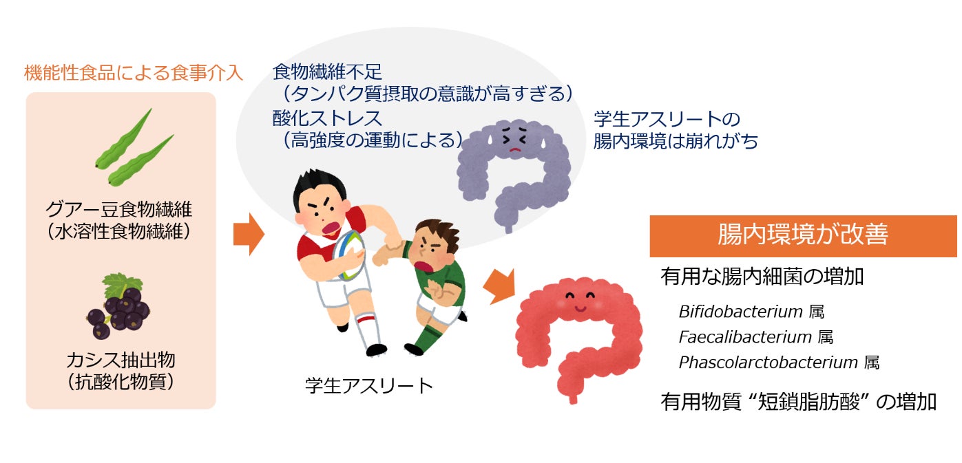 学生アスリートの腸内環境が機能性食品で改善
