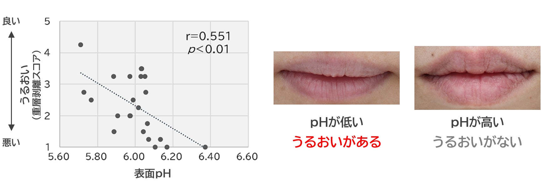 唇のうるおいに表面のpHが関与していることを発見