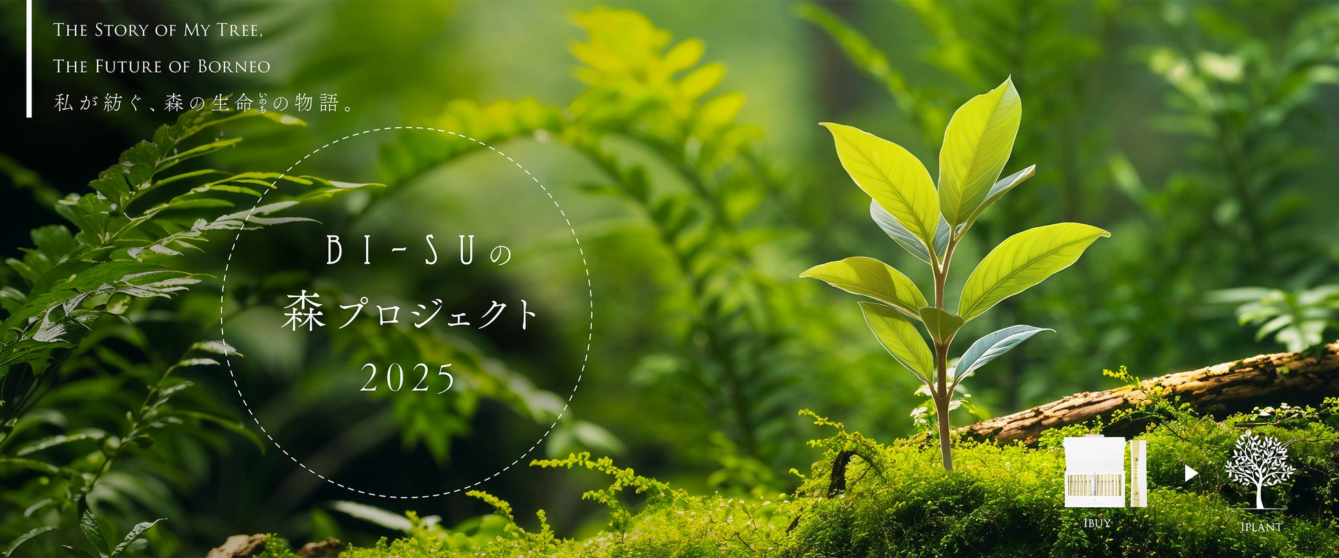 ツバメの巣「BI-SU」、顧客一人ひとりが“物語を紡ぐ”植樹活動「BI-SUの森プロジェクト2025」始動