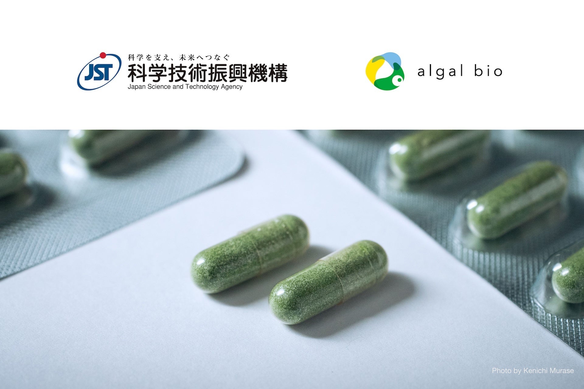 アルガルバイオ、JST A-STEPプログラムに採択。最大3.3億円の支援で、微細藻類由来の機能性原料の実用化を加速