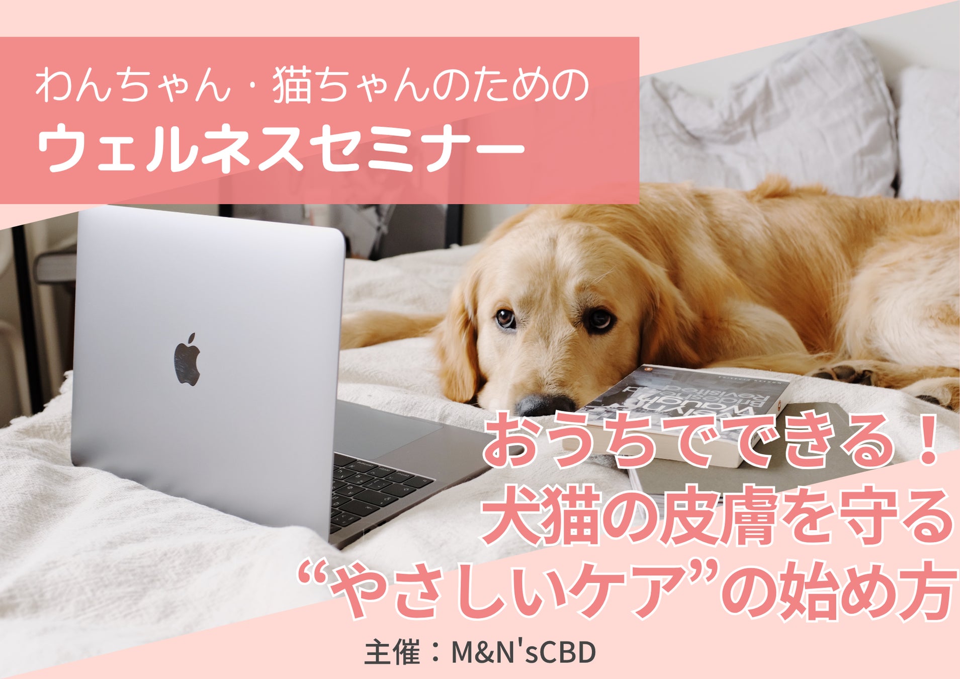 【開催報告】犬の皮膚トラブルに悩む飼い主さんへ。“やさしいケア”を学ぶ無料オンラインセミナーを開催しました