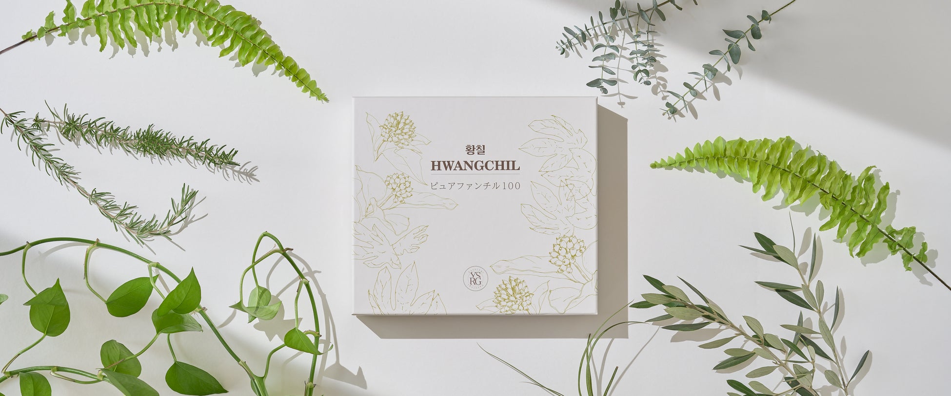 日本初上陸！大韓民国にて再発見された絶滅植物ファンチルを使用した健康食品、【ピュアファンチル１００】社団法人韓国優良製品振興協会の推薦を受けて大阪関西万博にて販売開始