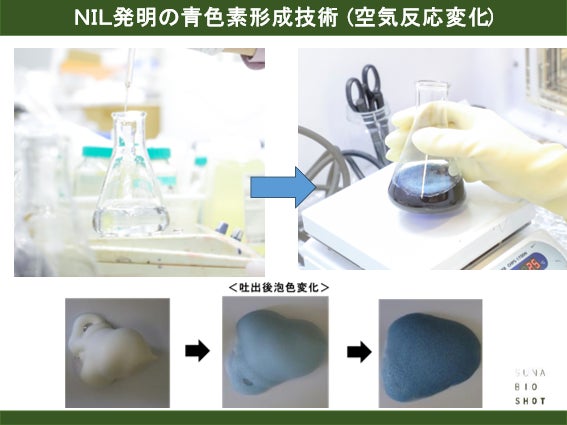 ポリフェノール“次世代新色素”が特許取得！!【SUNAの染毛革命】
