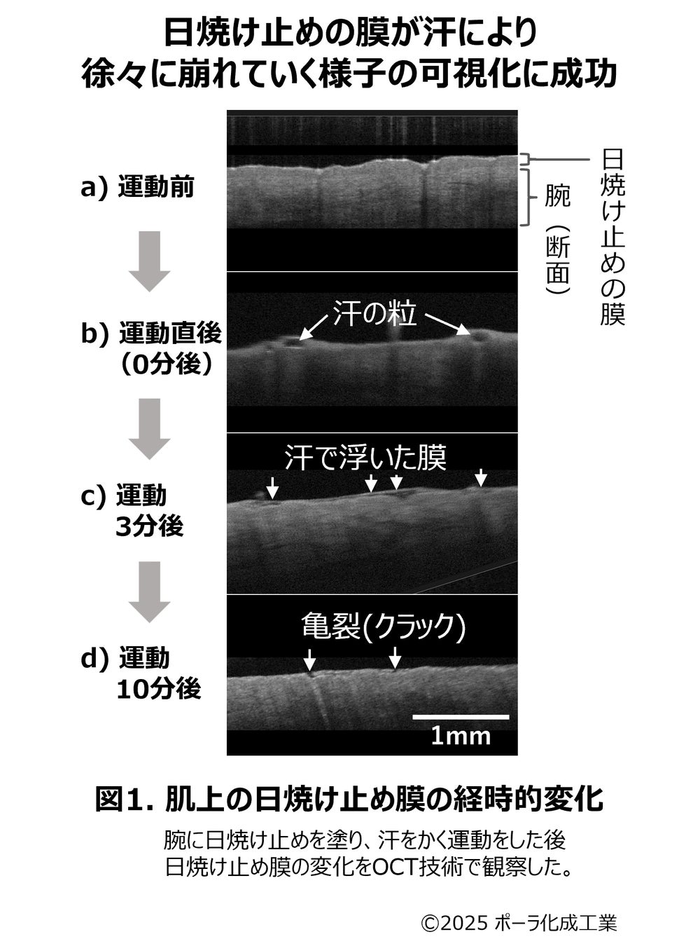 汗で刻々と変わる日焼け止め膜の観察方法を確立
