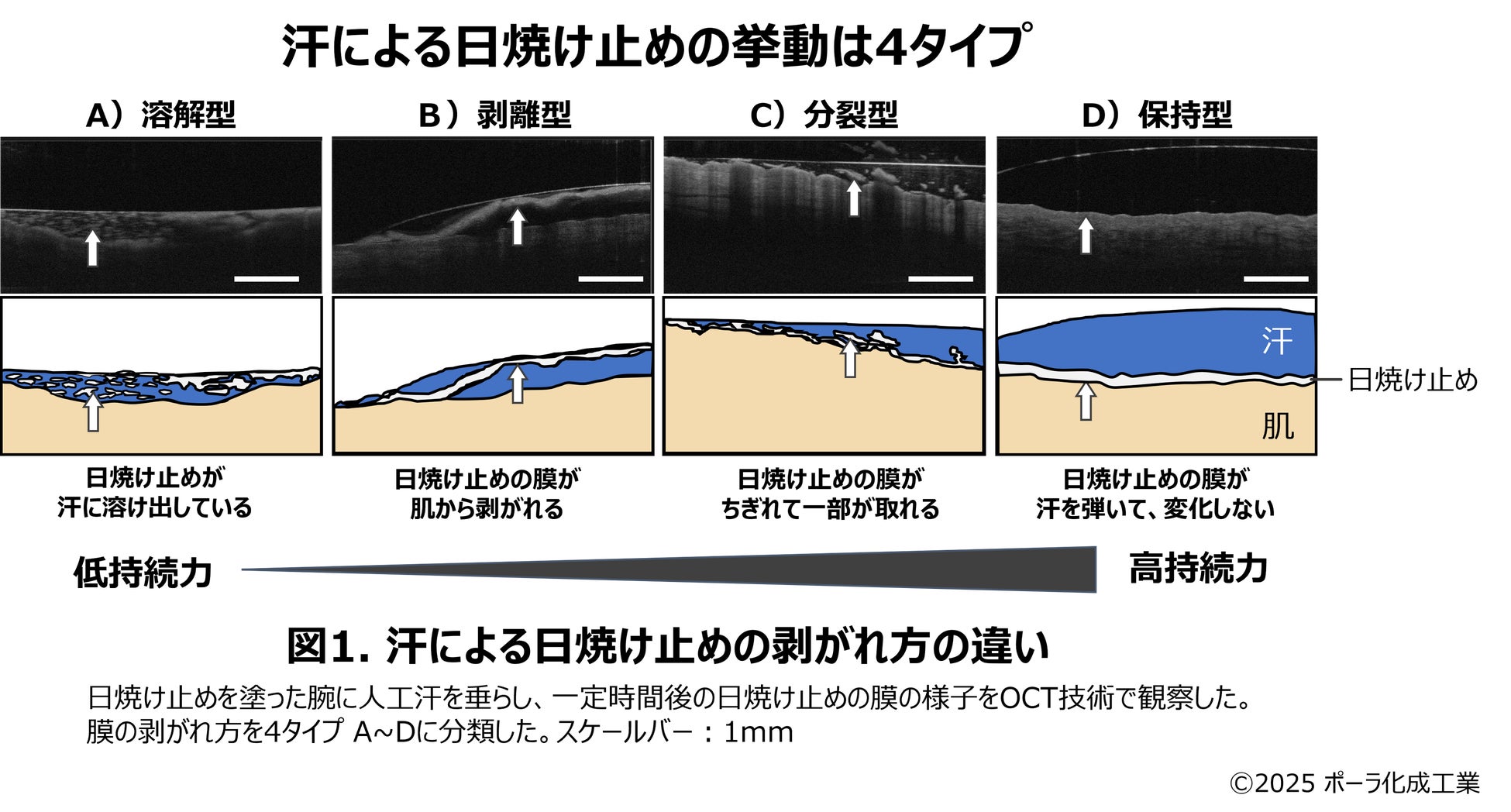 汗で刻々と変わる日焼け止め膜、剥がれ方は４タイプと判明