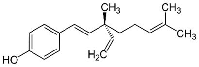 「バクチオール」による皮膚のコラーゲン産生促進効果の作用メカニズムと、その作用を向上させる成分の組み合わせを発見