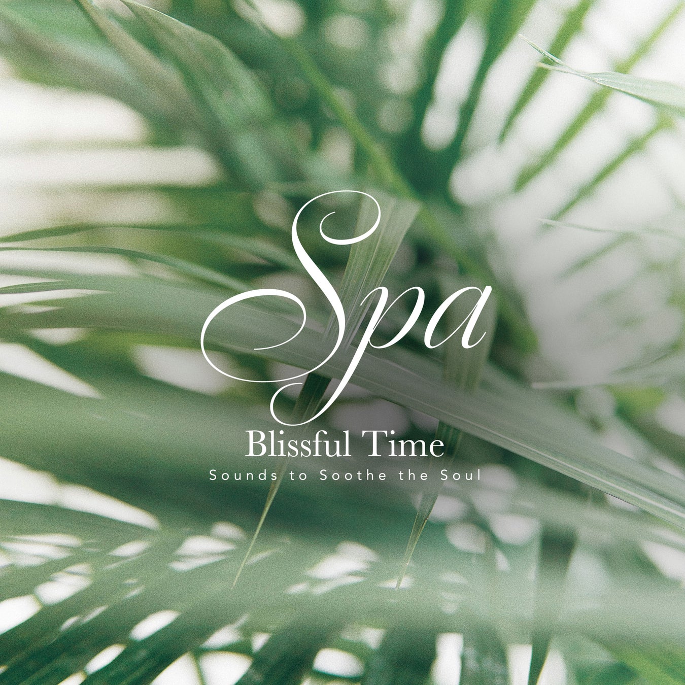 “うつくしい睡眠時間”をととのえるスパ音楽｜CROIX HEALING新作『SPA Blissful Time』で静かな夜を