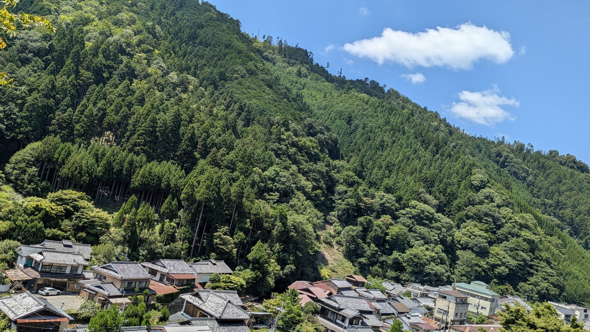 大阪・関西万博 関西パビリオン京都ゾーン　2025年9月1日からの「いのちの週」にNPO法人itswellnessが出展 ― 森林浴をテーマに、未来社会に向けたウェルネスツアーを提案