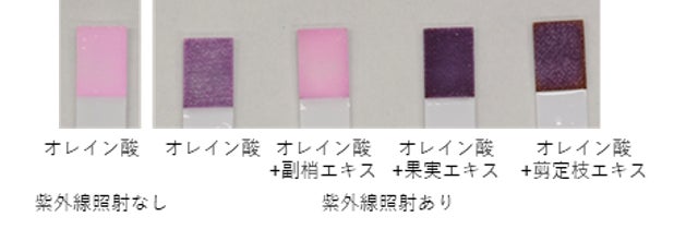 ＼ 美味しく飲めるか、お試しください ／ファイテンショップで、桑葉の青汁が試飲できる「秋の腸活フェア」開催中！