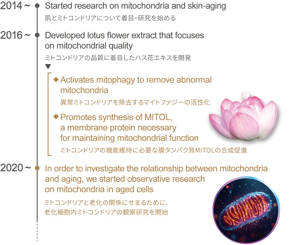 OsakaMito 2025 summerにて皮膚の老化研究成果を発表