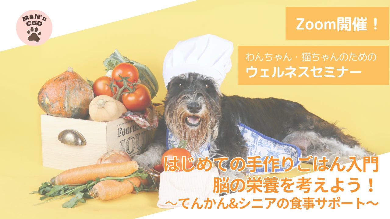 【開催報告】てんかん・シニア期のごはんに悩む飼い主さんへ。食事から“脳と体を整える”無料オンラインセミナーを開催しました