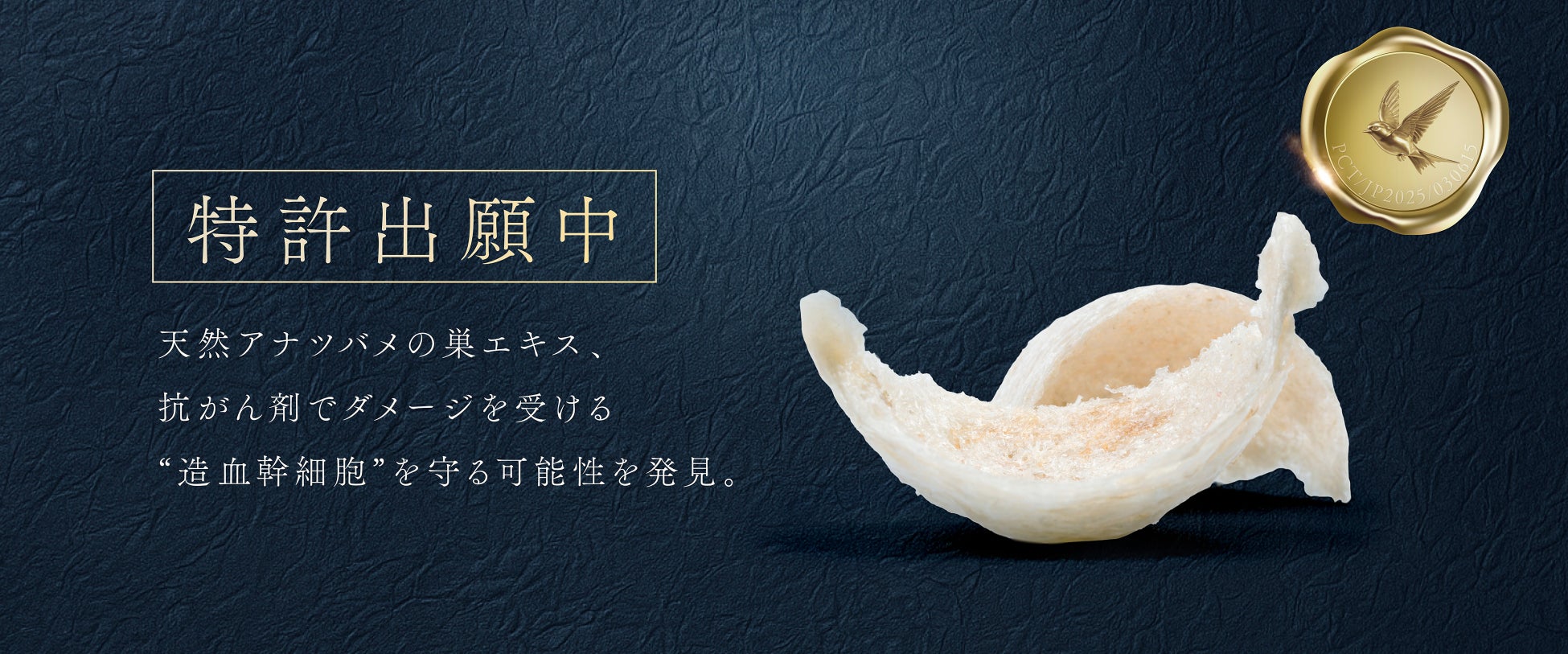 がん治療に“新たな光”。天然アナツバメの巣エキスが、抗がん剤でダメージを受ける“造血幹細胞”を守る可能性を発見。