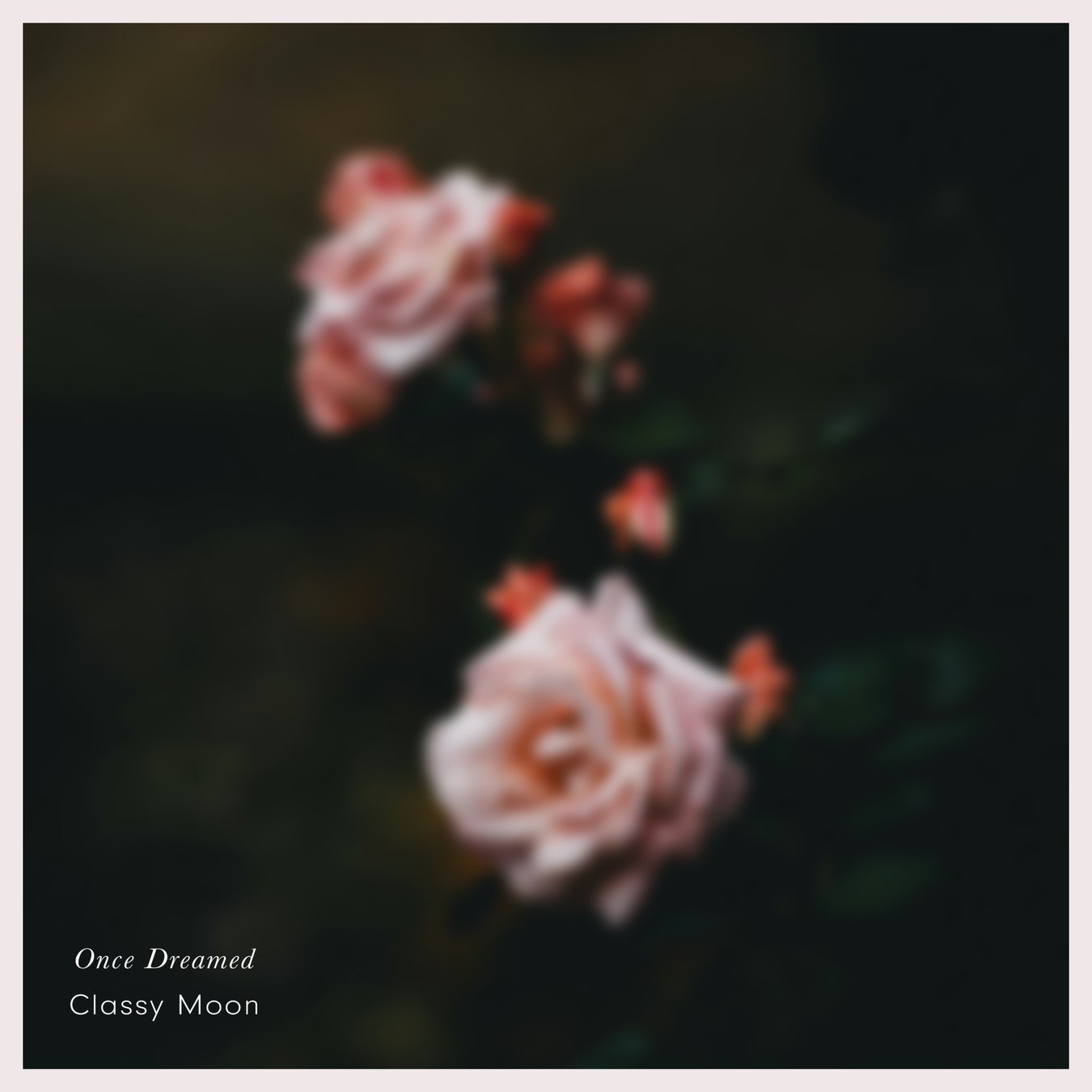 Once Dreamed ― 森を彷徨う短い夢旅へ誘う“PIANOヒーリング”の新章、Classy Moon待望のアルバム9/12配信