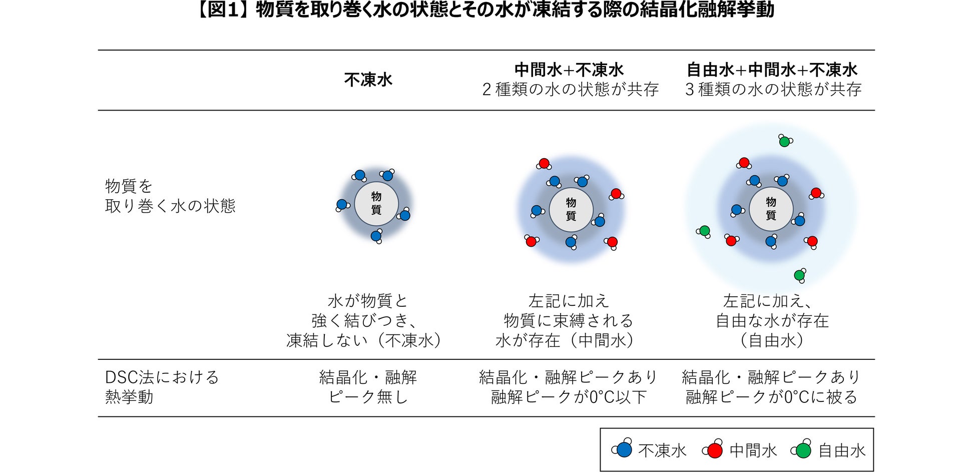 肌の水分状態を評価する新手法を開発 ＜第35回 国際化粧品技術者会連盟（IFSCC）世界大会において共創研究成果を発表＞