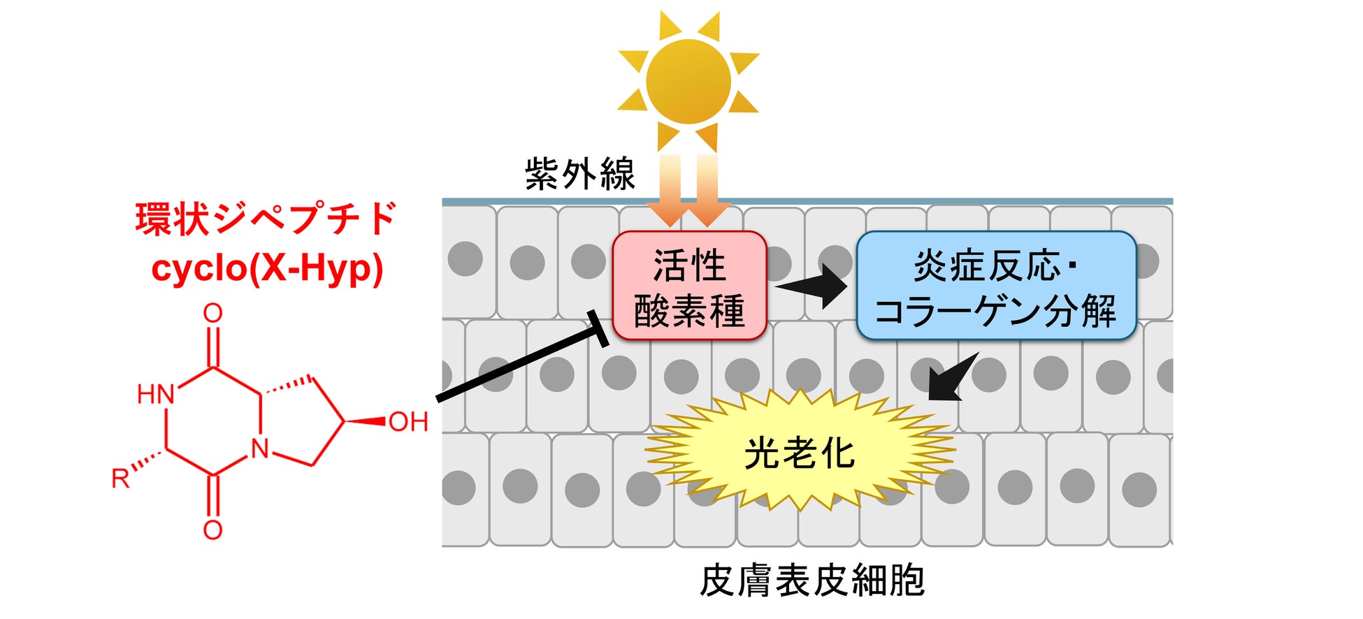 株式会社中山組が尿がん検査「マイシグナル・スキャン」を福利厚生として導入