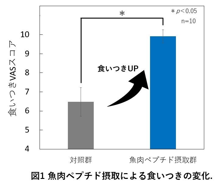 魚肉ペプチドの摂取による犬の食いつき、毛並み改善とストレス軽減効果を確認
