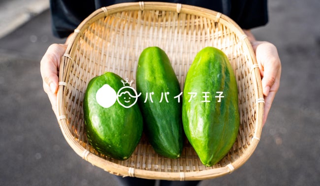 “酵素の王様”青パパイアが全国へ！宮崎県新富町発『パパイア王子』、栄養豊富なスーパーフードを好評出荷中！