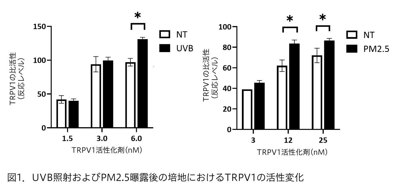 マンダム、特定のカミツレエキスにTRPV1抑制効果があることを発見