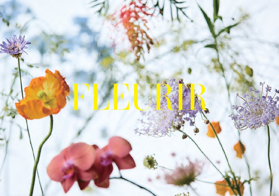 安心・安全の国産スカルプチュアブランド「FLEURIR」がリニューアル