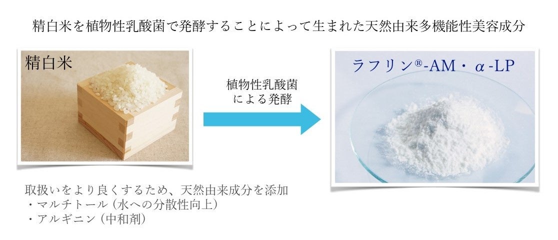 「多機能性乳酸菌発酵米」によるビタミンC誘導体（アスコルビン酸グルコシド）とナイアシンアミドの驚きの皮膚浸透促進効果について、特許を新たに取得。