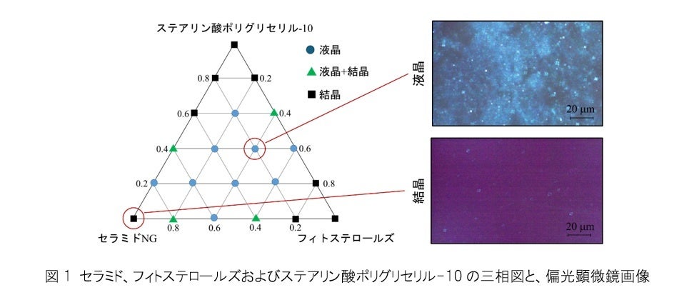 【ファンケル】保湿成分「ヒト型セラミド」の機能をさらに高めたナノカプセル（1）「液晶ニオソーム（2）」の開発に成功