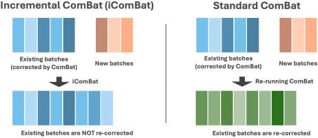 DNAメチル化アレイデータの新規前処理手法「iComBat」を提案した論文が計算生物学の国際学術誌 「CSBJ」に掲載されました
