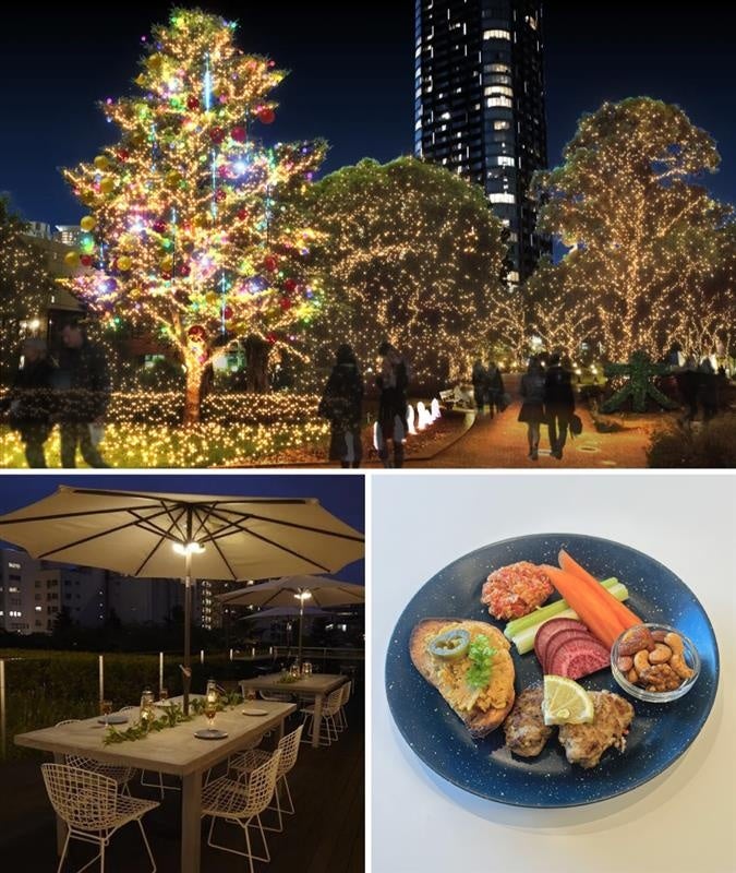 11月14日〜イルミネーションを楽しめるドリンク付きのプレートセットがスタート！