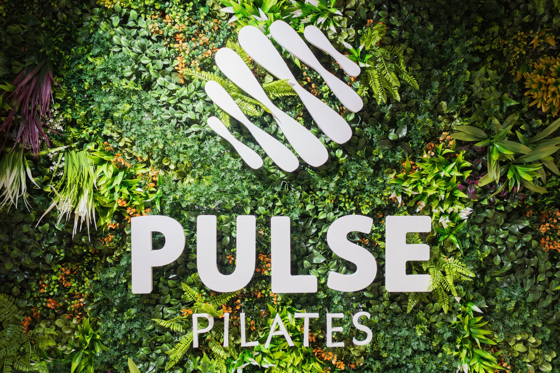 パーソナルマシンピラティス PULSE 神保町 2025年11月13日（木）オープン