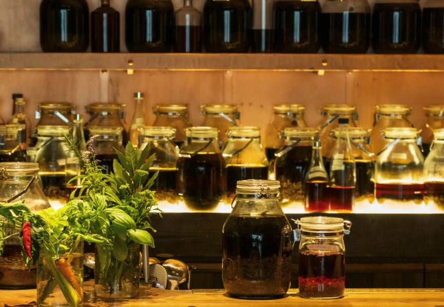 人気ポッドキャスト番組から誕生した“植物”で優しく整える場所 『喫茶 植物最高』が11/16グランドオープン