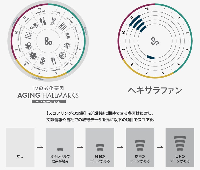 【ドン・キホーテ限定販売】カラーコンタクトレンズブランド『MOLAK(モラク)』から新色2カラー発売