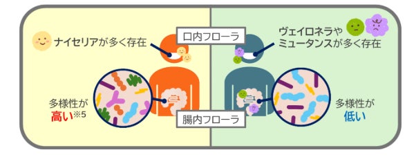 サイキンソーとライオン、口腔・腸内細菌叢の共同研究で新知見