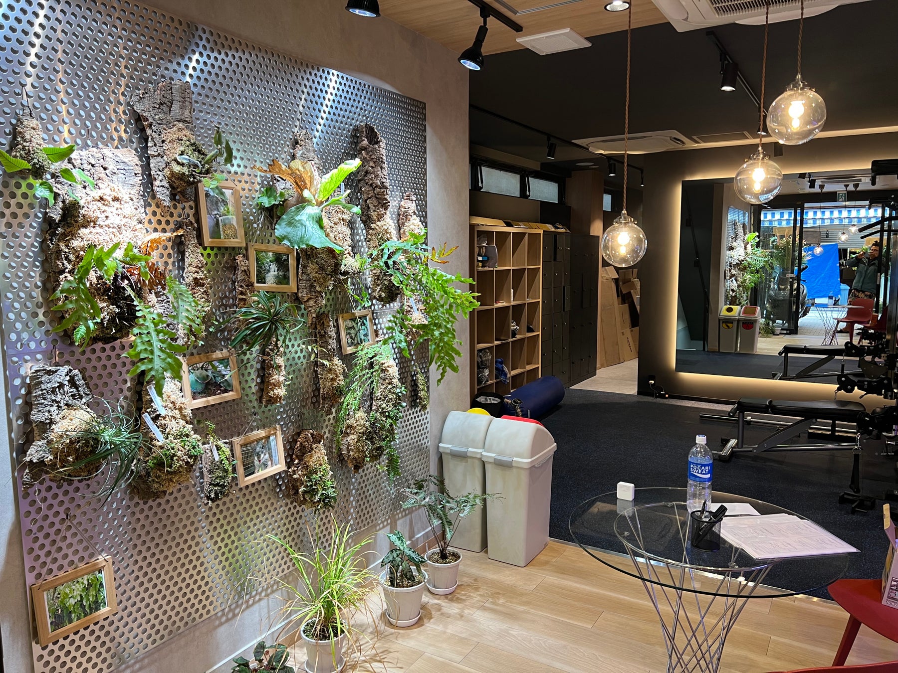 プラントハンター兼格闘家が主催するキックボクシングジムOpen！