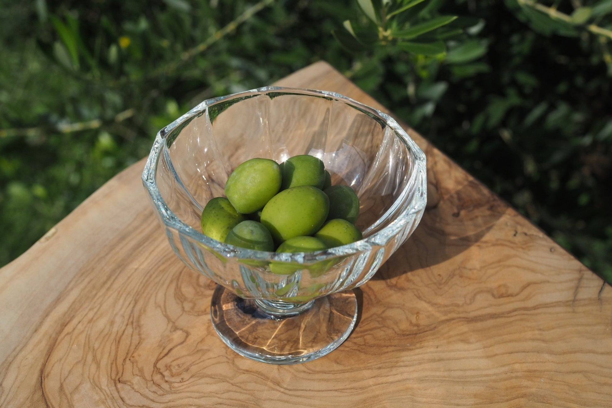 有機JAS認証取得「金の青汁®オーガニック青汁 大麦若葉＋3種の野菜 食物繊維」が新登場！