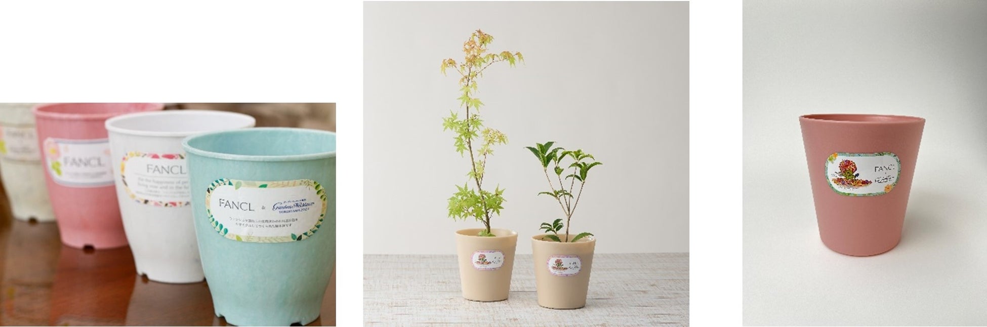 日本初(当社調べ) 芦屋市ふるさと納税、芦屋市電子クーポンで、先進口腔ケア「ブルーラジカル P-01治療+ALPDC 整菌療法」を提供開始 。