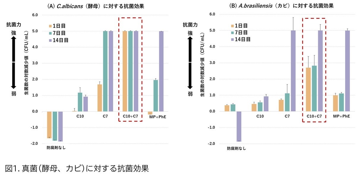 【愛知県・東三河エリア初進出！】ストレッチ専門店『Dr.stretch』豊橋カルミア店・イオンモール豊川店 2店舗連続オープン！