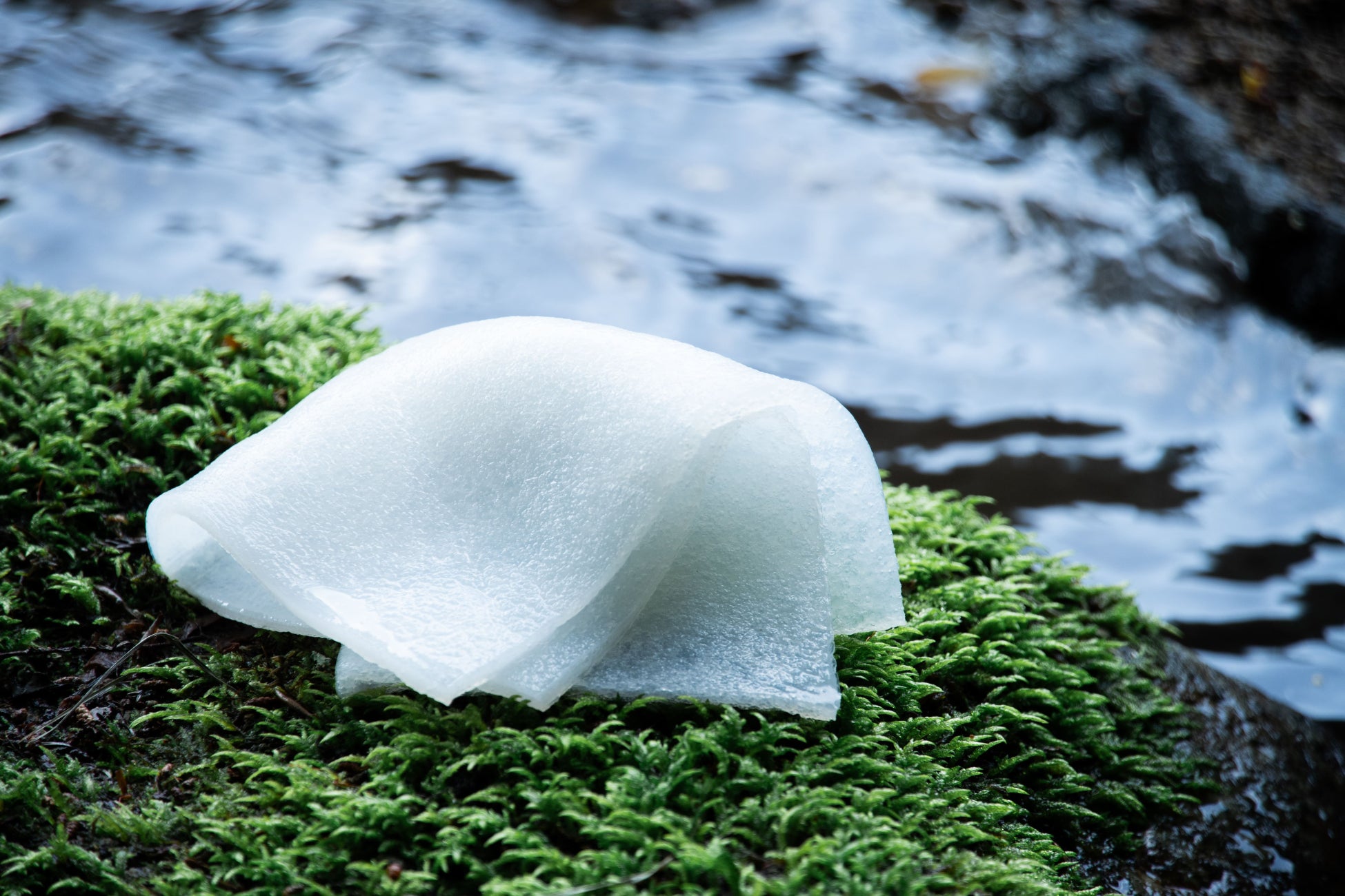 “こんにゃく生まれ”の新感覚タオル『つやの子 こんにゃく生タオル』が読売テレビ「大阪ほんわかテレビ」で紹介されました（11月21日放送）