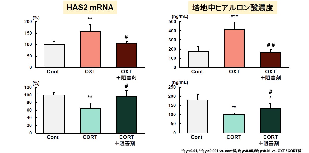 「グリコ コンディショニングプログラム」で心と体の調子をととのえる習慣を　体験イベント「グリコ　コンディショニングスタジオ」大阪で期間限定初開催