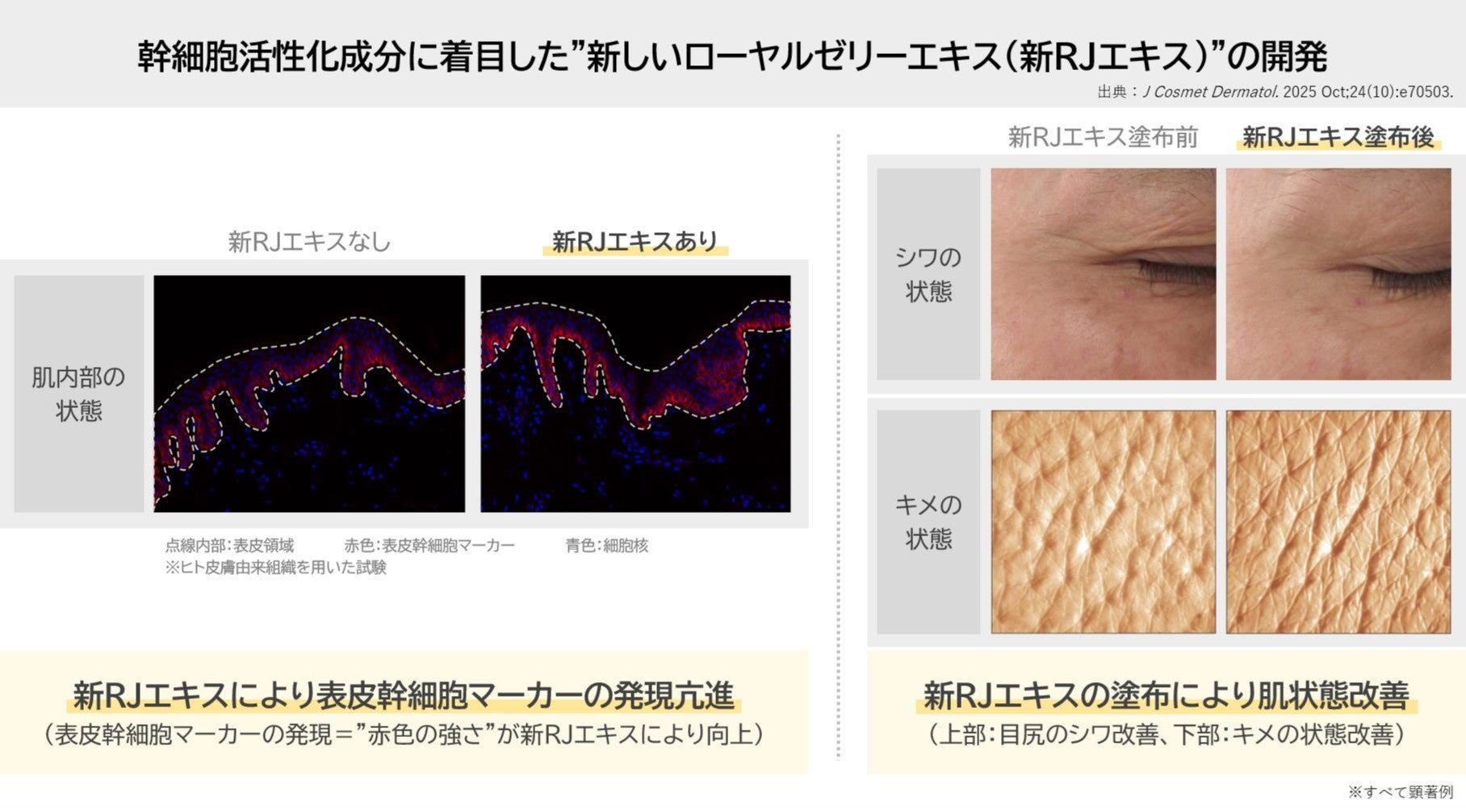 「エイトザタラソ」と「シナモロール」が初コラボ！髪を潤すエイトザタラソの人気アイテムが、シナモロールのスペシャルデザインで数量限定登場！