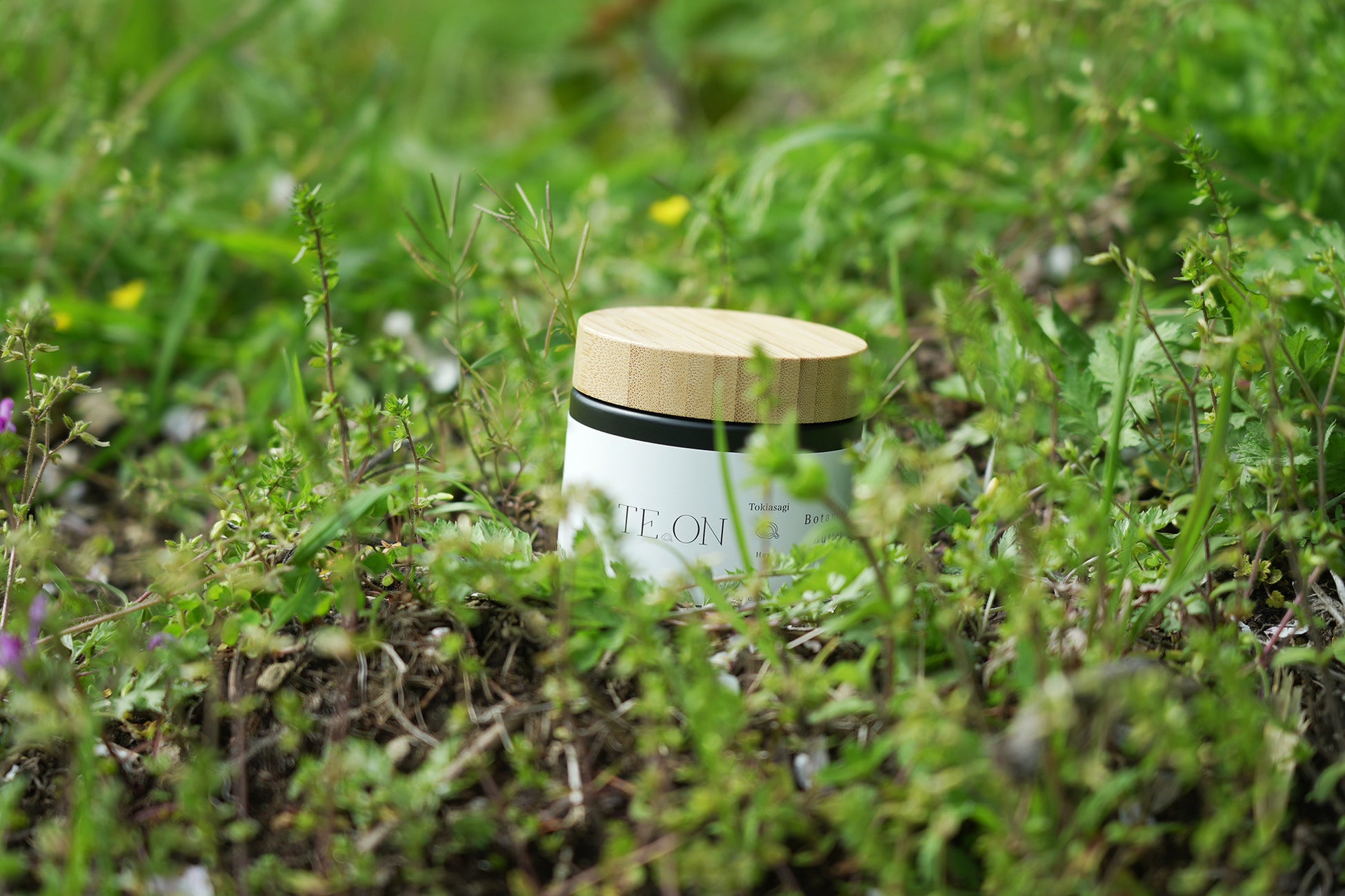 大切な家族へのギフトに！自然由来の美容ブランド「te.on（テオン）」のポップアップを開催【Ethical&SEA+m 梅田蔦屋書店】