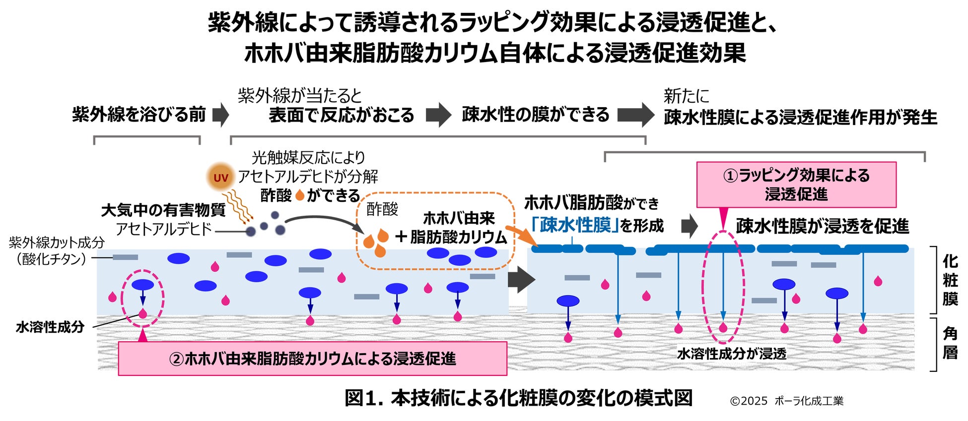 【メイクアップフォーエバー】フェイスメイクに必要なすべてが詰まったクリームタイプのパレットが2026年1月1日(木)新登場！毎日のメイクアップでも外出先や旅先でも、簡単に立体感のあるメイクを叶えます！