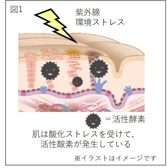 YORI（DA PUMP）×新井貴浩（広島東洋カープ監督）、乳酸菌生成エキス「ラクティス」presents ウェルネス＆ハッピートークショー開催！