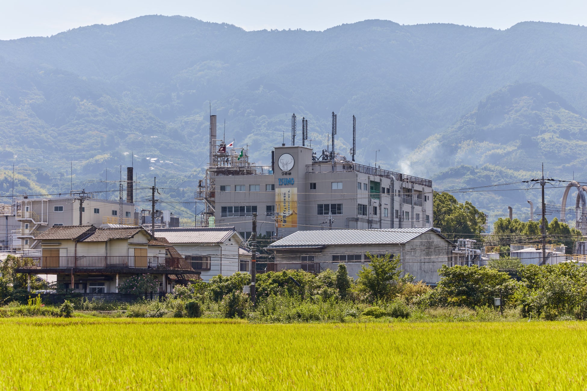 【築野グループ】第3回日本化粧品技術者会学術大会にて化粧品に関する最新の演題を発表