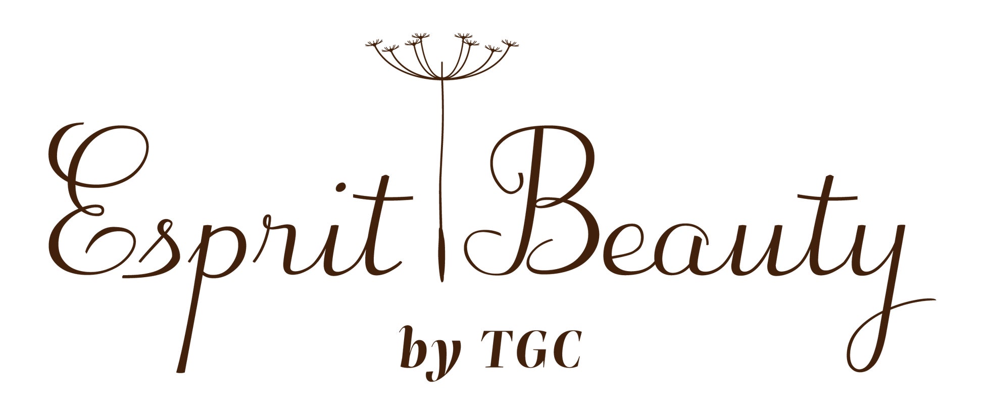 TGCが手がける新たな美容事業誕生！Esprit Beautyカリスマセラピスト西岡美栄（MIE）監修「Esprit Beauty by TGC 南青山店」2025年12月21日（日）グランドオープン