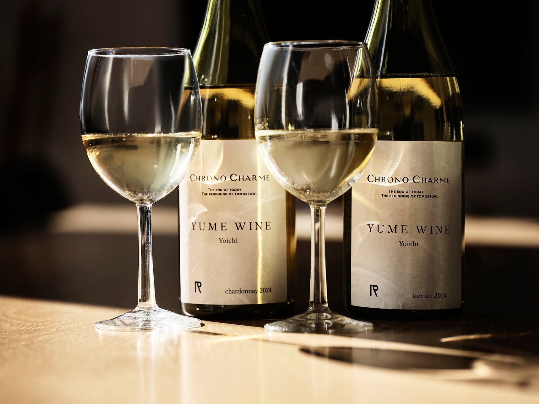 【もっちりとした濃密なツヤとボリューム】DIDION初のリップグロスが2色新発売!