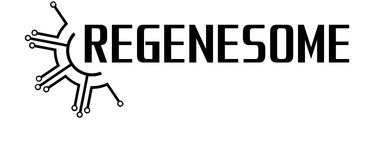 マシンピラティススタジオ「Celestia(セレスティア)」は全国11店舗目となる横浜店を11月15日にオープン!