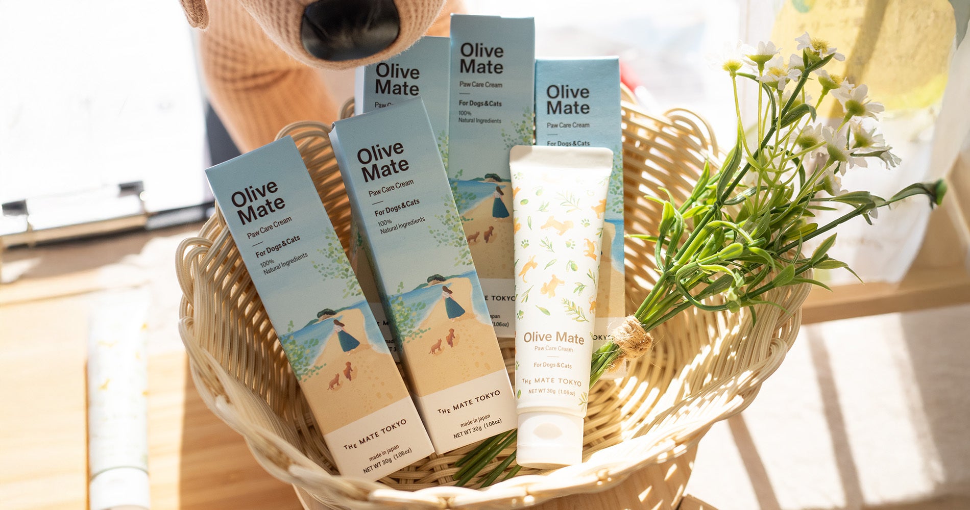 肉球をケアする小豆島産オリーブ葉エキス配合の犬猫用クリーム「Olive Mate」新発売。スマホも触れる驚きのサラサラ感！この冬の乾燥から「守る・整える・潤す」3つのアプローチで肉球ケア。